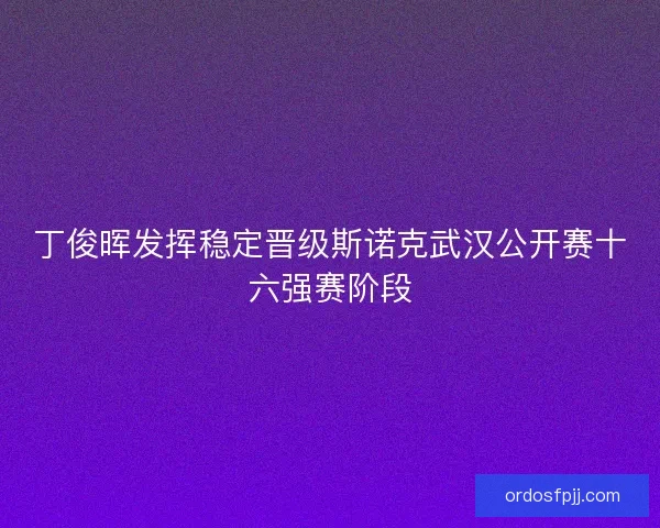 丁俊晖发挥稳定晋级斯诺克武汉公开赛十六强赛阶段