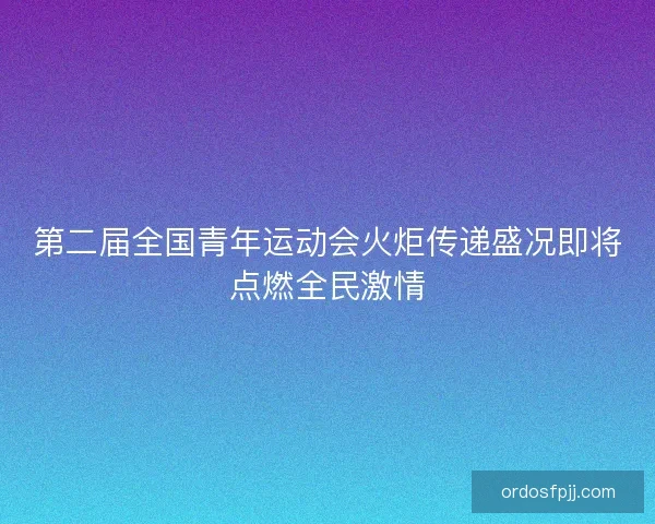 第二届全国青年运动会火炬传递盛况即将点燃全民激情