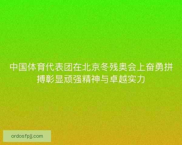 中国体育代表团在北京冬残奥会上奋勇拼搏彰显顽强精神与卓越实力