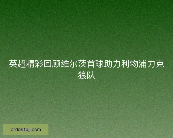 英超精彩回顾维尔茨首球助力利物浦力克狼队 英超精彩回顾维尔茨首球助力利物浦力克狼队